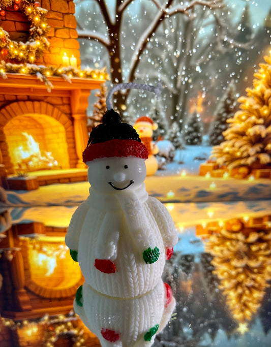 Snow Buddy